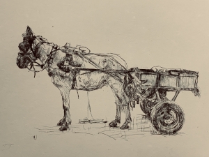 Untitled Mule